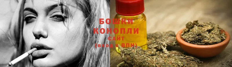 где продают наркотики  Елизово  Канабис ГИДРОПОН 